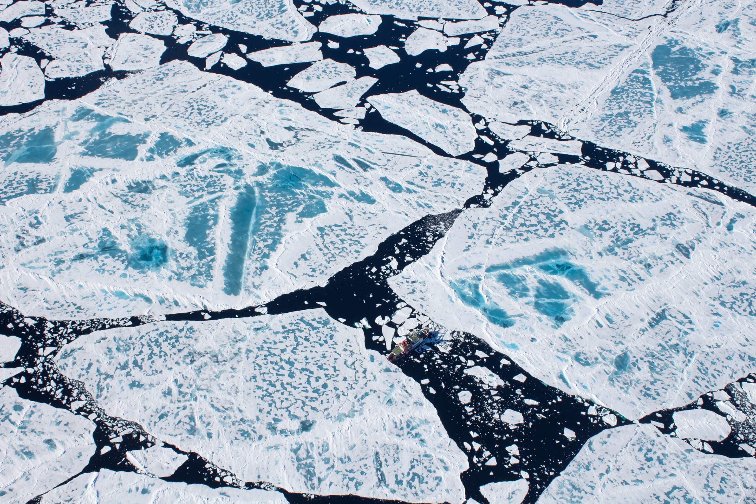 20140721_Polarstern86_Arktis_2014_Aurora_036_SArndt-scaled