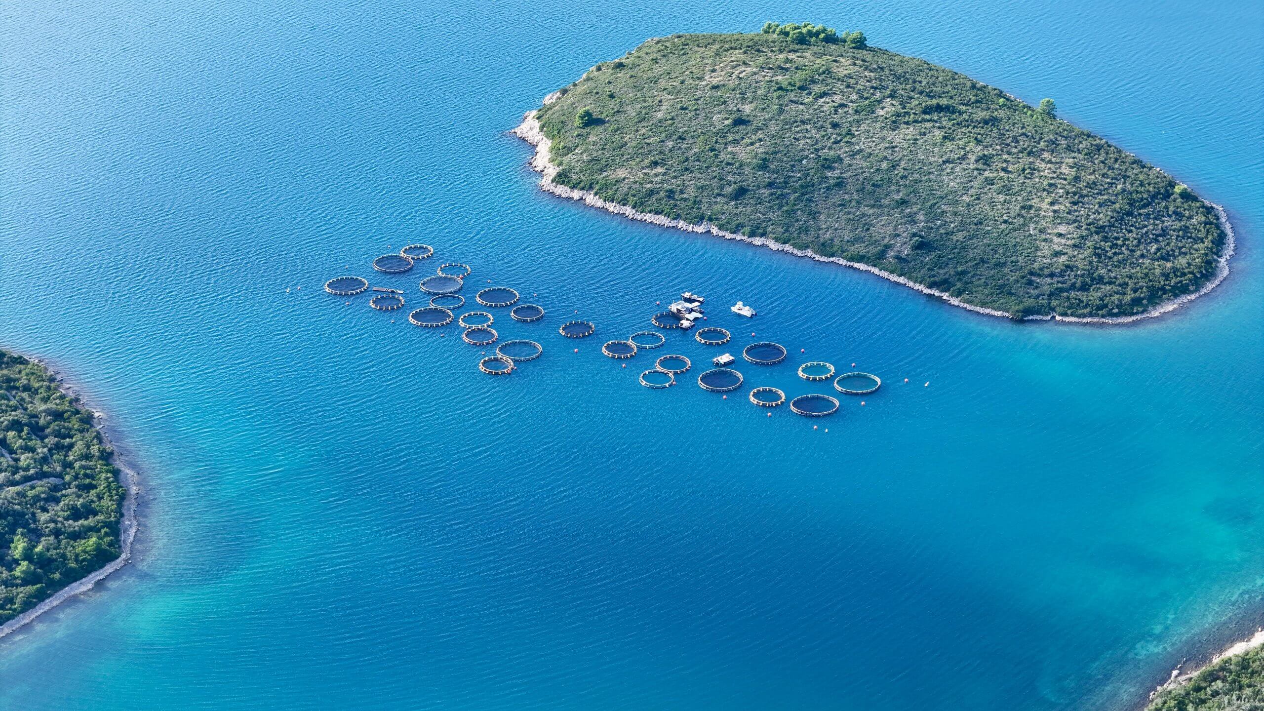 Aerial-View-of-Fish-Farm-in-the-Sea-Between-Islets-scaled