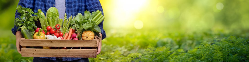 Farmer hands holding wooden box with different vegetables