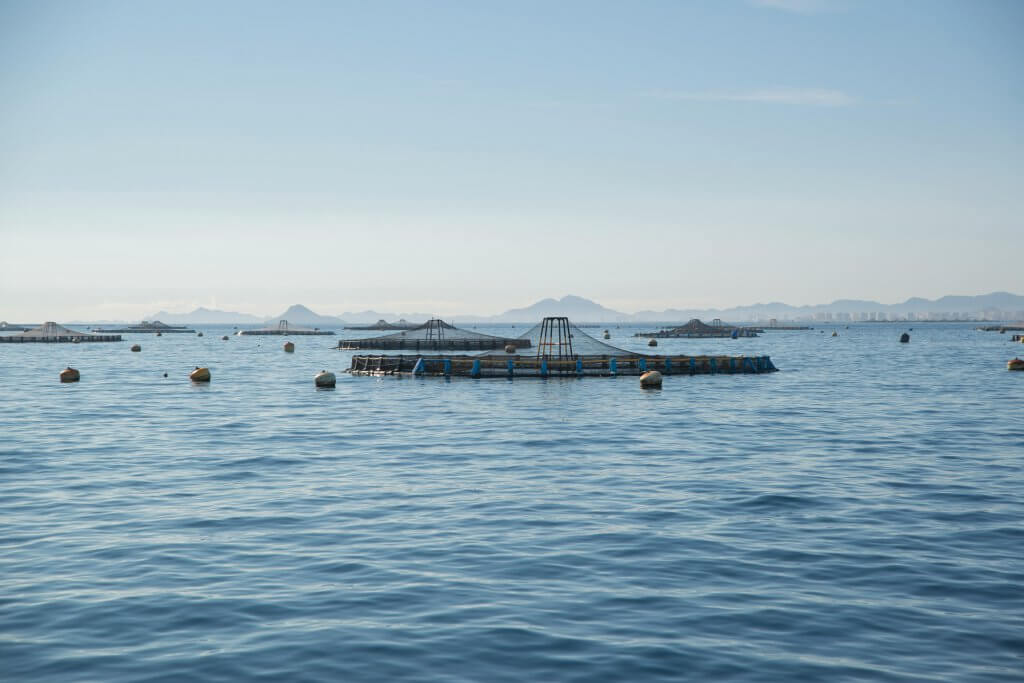 Fish farm in the horizon of the San Pedro del Pinatar, Spain, featuring circular fish pens.