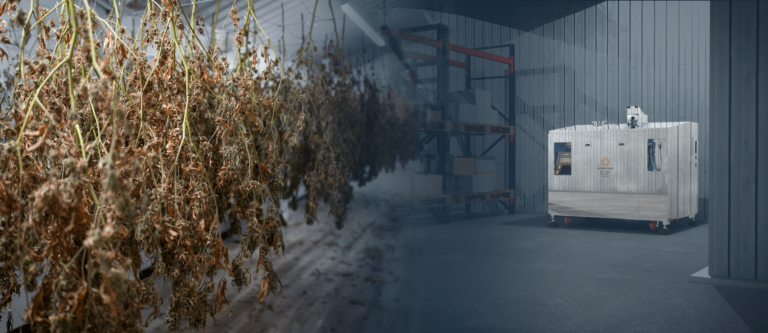 LCD-cannabis-management-banner_2025-02-10