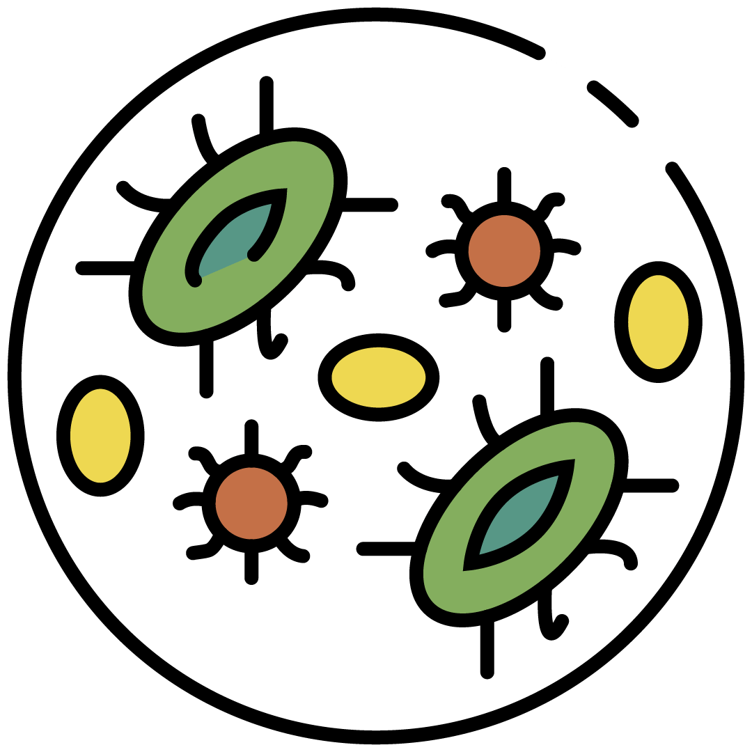 Microorganisms_Colour