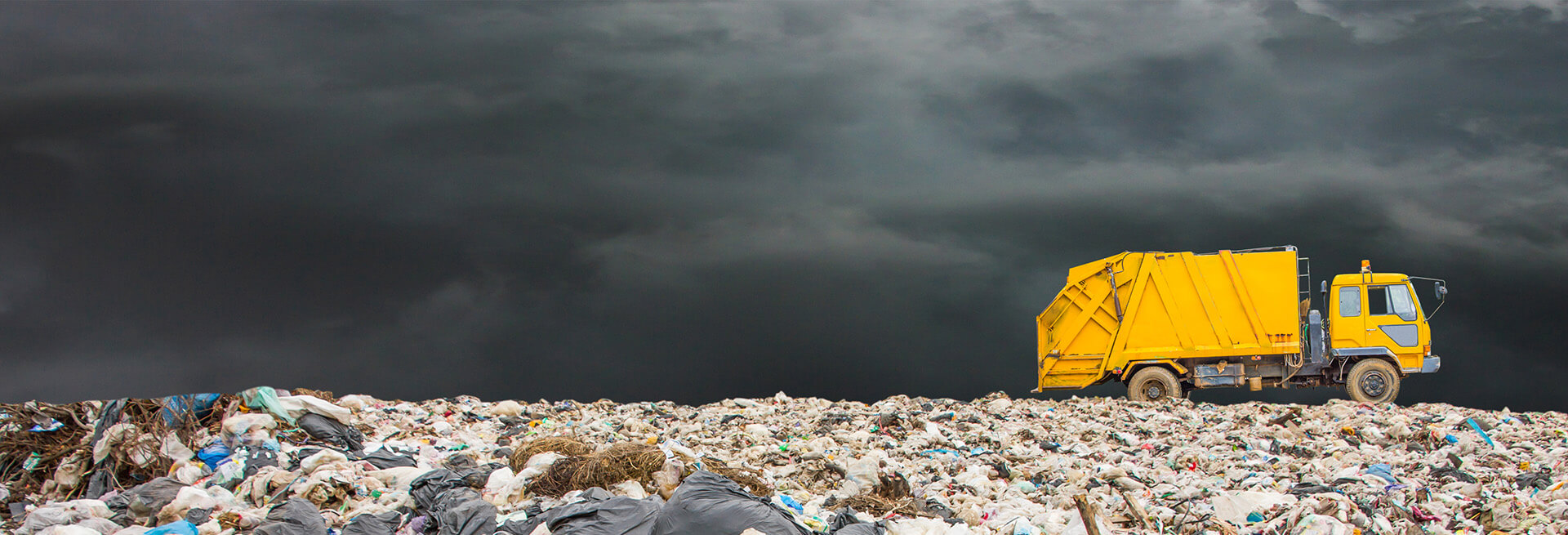 Municipal_Waste_crop