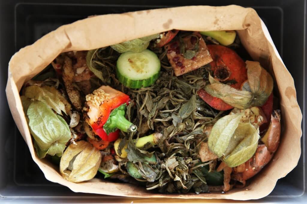 Organic food waste with leaves, peppers, and and other vegetable clippings.