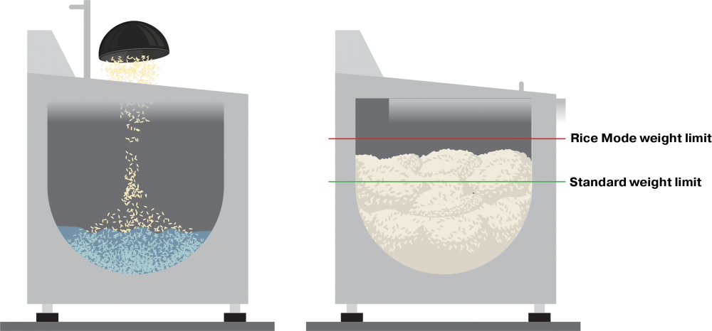 Rice-Mode-graphic_2025-09-02-1-e1756854616294