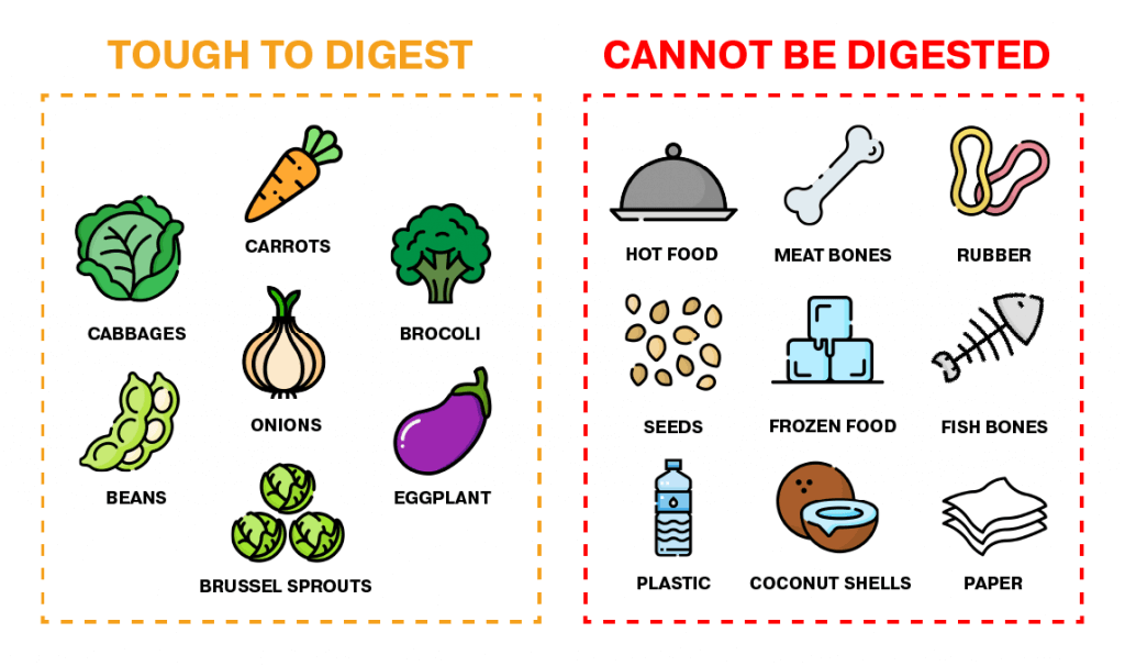 Fibrous foods such as carrots, broccoli, and onion skins cannot be easily digested while hot foods, bones, plastic, and paper are unable to be digested by the LFC biodigester.