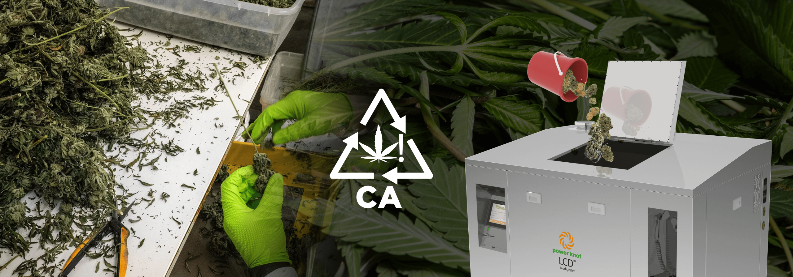 comply-with-legal-cannabis-banner_2025-02-21